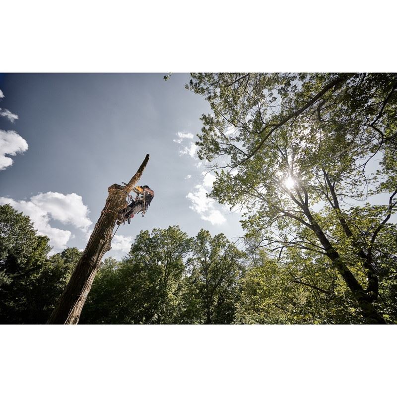 DEWALT DCCS674X2 60V MAX 14 In. Top Handle Chainsaw Kit