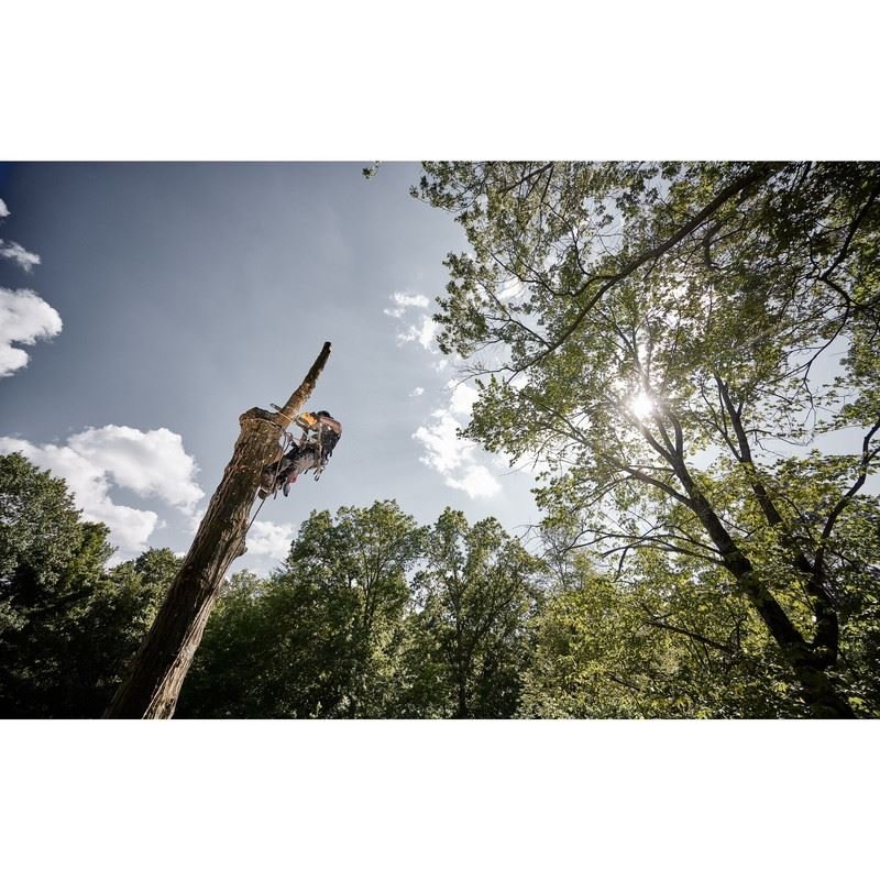 DEWALT DCCS674X2 60V MAX 14 In. Top Handle Chainsaw Kit - Mississauga Hardware Centre Inc