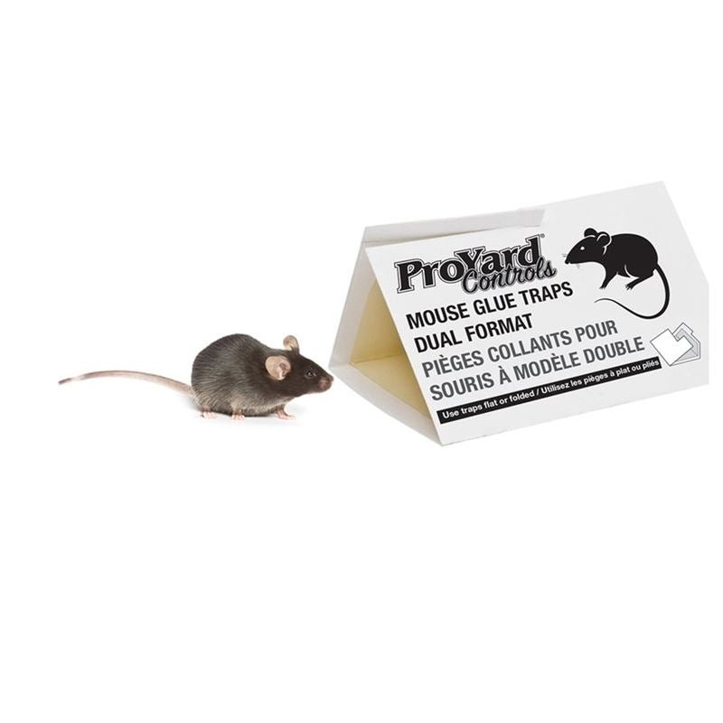 ProYard 185037 MOUSE GLUE TRAPS FOLDABLE - 2PK - Mississauga Hardware Centre Inc