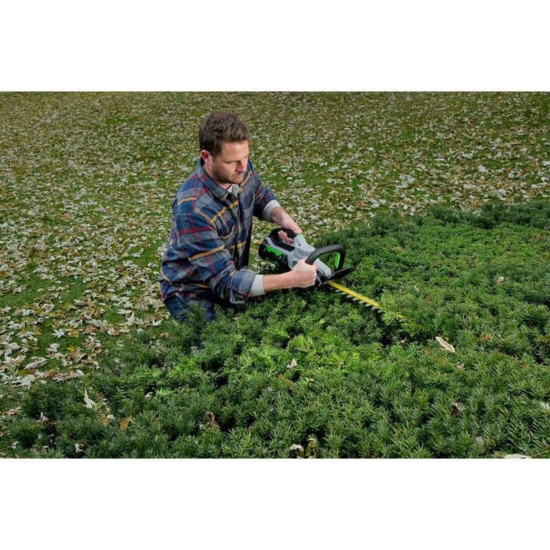 EGO HT2411 24in POWER+ Brushless Hedge Trimmer with 2.5Ah Battery and Standard Charger