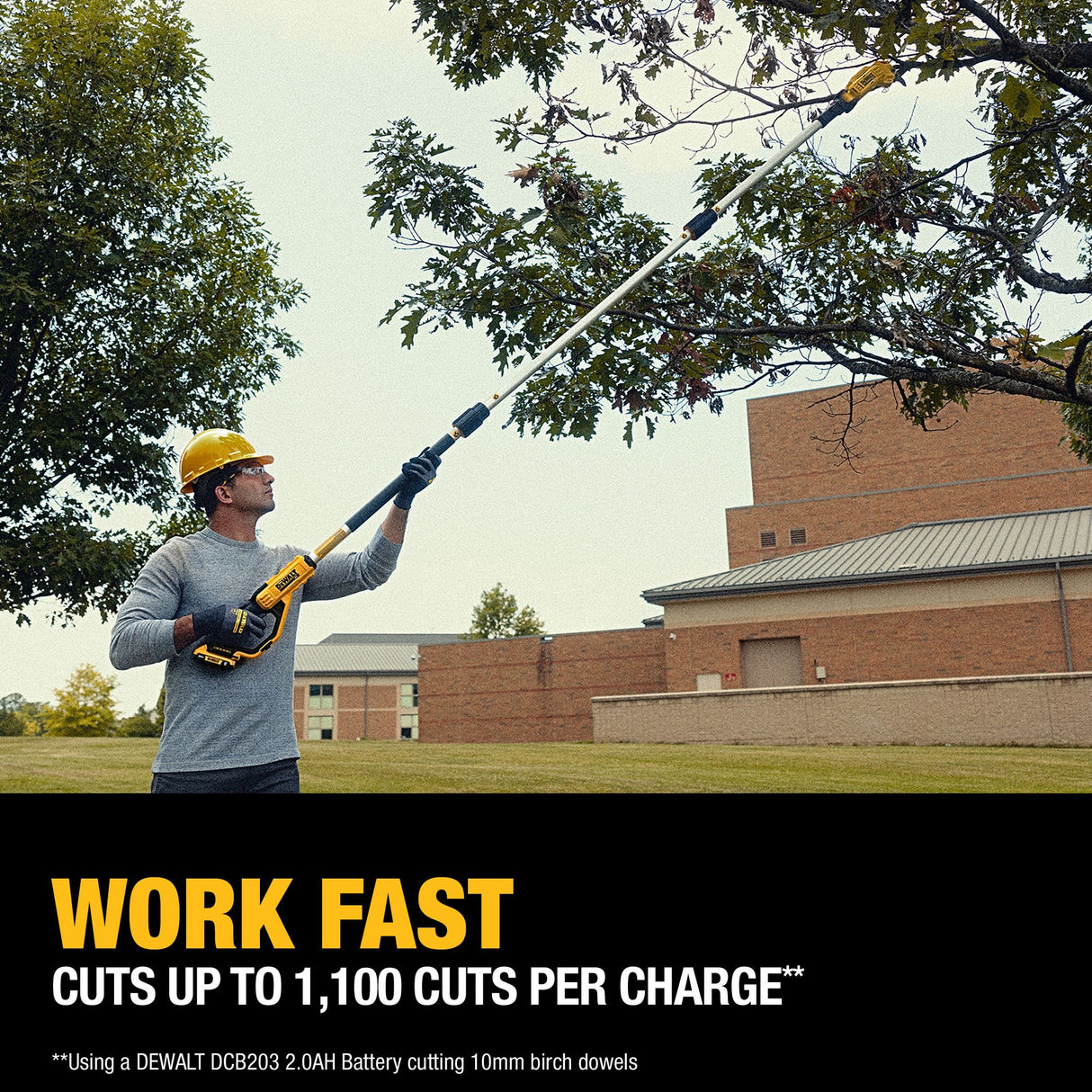 DEWALT DCPPR320D1 Pole Pruner Kit