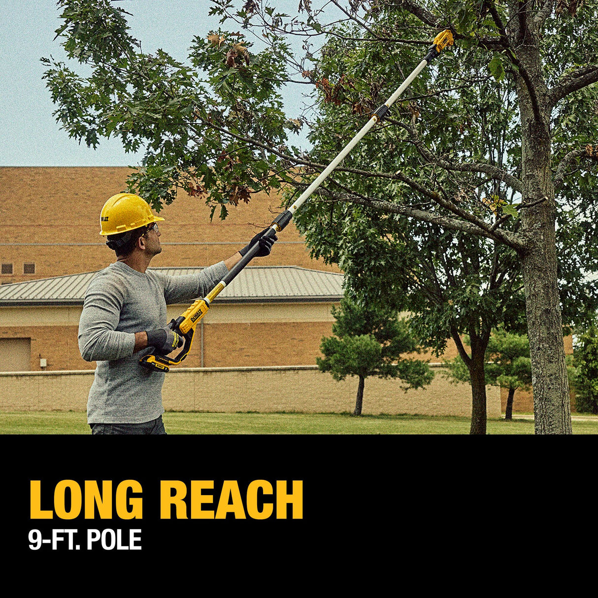 DEWALT DCPPR320D1 Pole Pruner Kit