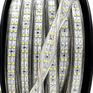SHOPRO L003010 Ultra-Bright LED Strip Light 25 Meter with Reel – Dual Sided Double Row