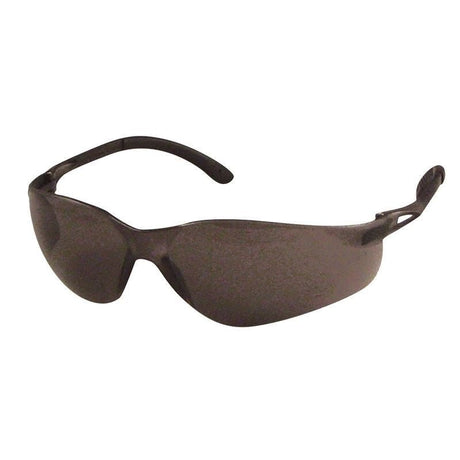Dentec Sentinel Safety Glasses - Mississauga Hardware Centre Inc