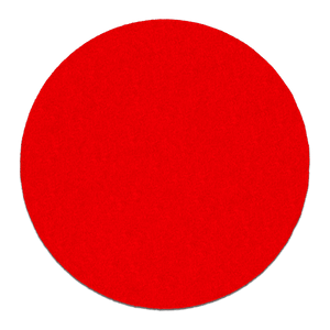 DIABLO DCD050180P05G 5" 180 - Grit StickFast™ ROS Sanding Discs (5 - pk) - Mississauga Hardware Centre Inc