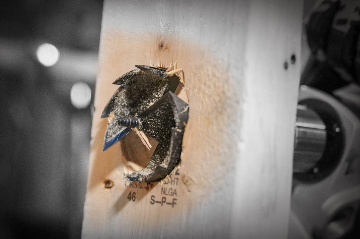 DIABLO DSF1125 1 - 1/8" SPEEDemon™ 2 - Cutter Self - Feed Bit - Mississauga Hardware Centre Inc