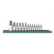 GEARWRENCH 80723 13 Piece 1/4", 3/8" & 1/2" Drive Torx® Bit Socket Set - Mississauga Hardware Centre Inc