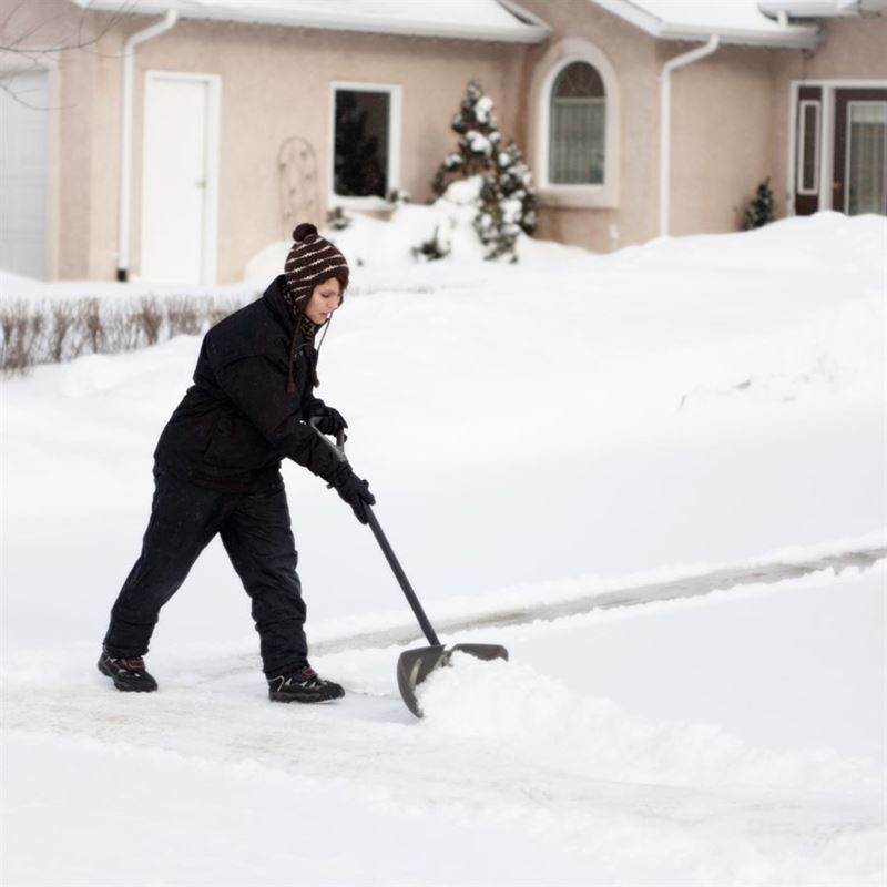 Toolway 194511 14in POLY BLADE SNOW SHOVEL W/ STEEL HANDLE D - GRIP 55IN - Mississauga Hardware Centre Inc